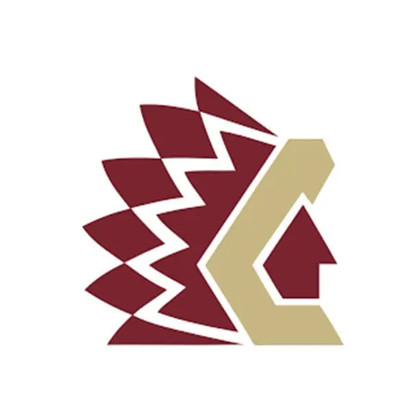 Chilliwack Chiefs